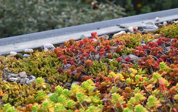 the cost of Frankton green roof installation
