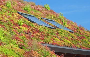 Frankton living roof systems